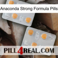 Anaconda Strong Formula Pills 25